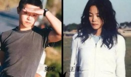 那英爆料王菲窦唯视频播放,揭秘娱乐圈不为人知的一面